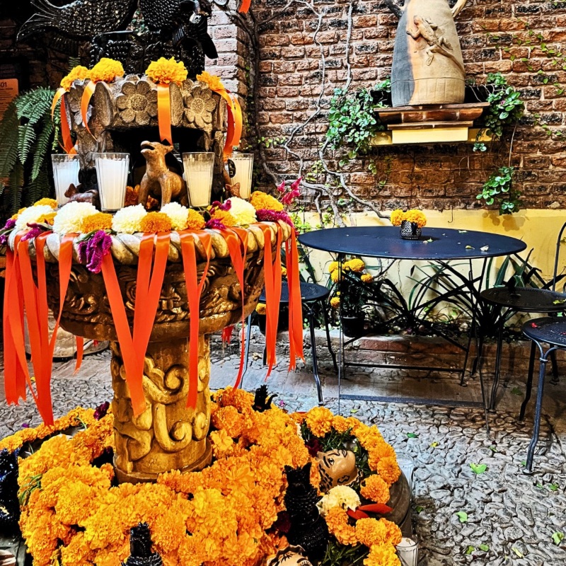 Marigolds and festive Día de los Muertos decorations transform a fountain in San Miguel de Allende into a breathtaking tribute.