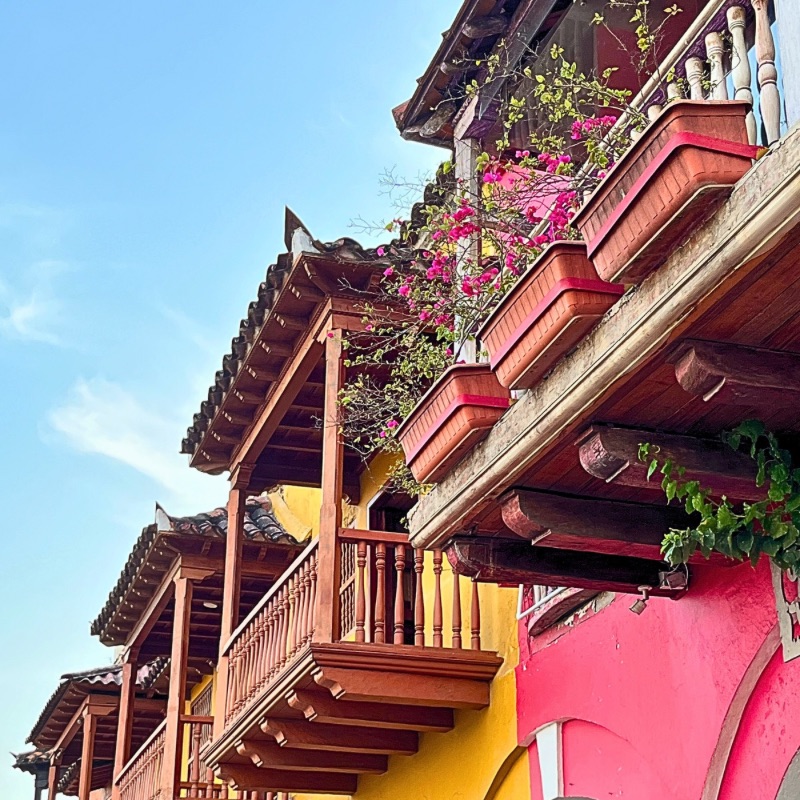 Colorful colonial balconies in Cartagena adorned with cascading bougainvillea.