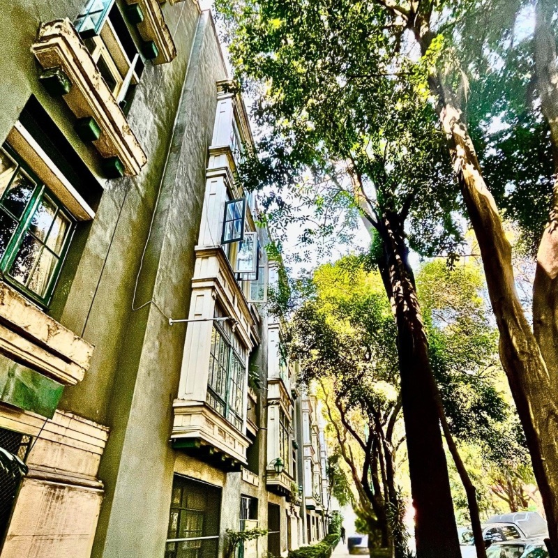 Mexico City Condesa Neighborhood Street Travel Blog