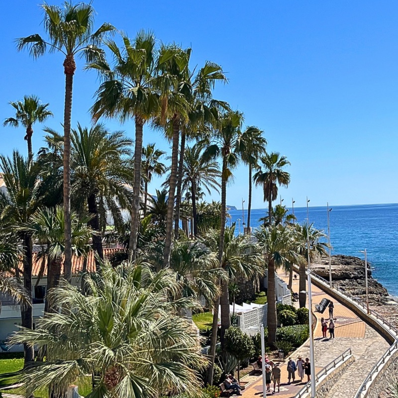 A peaceful seaside scene in Nerja, Spain, with swaying palms, a volcanic sand beach, and waves rolling in under a clear sky. The coastal promenade curves along the edge, inviting a slow, sunlit walk.