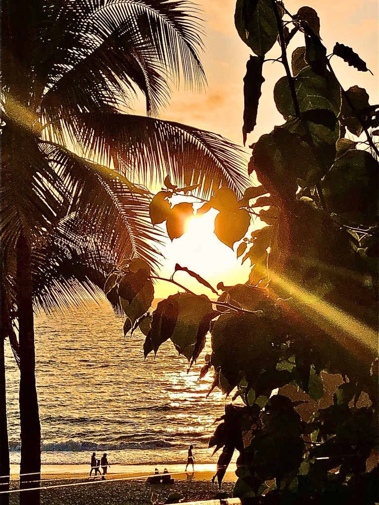 A golden sunset in Puerto Vallarta, with the sun casting rays through the branches of a fig tree and palm, illuminating the sea in shimmering gold and silver hues. A few people walk along the beach as the sky transitions to warm orange and gold tones.