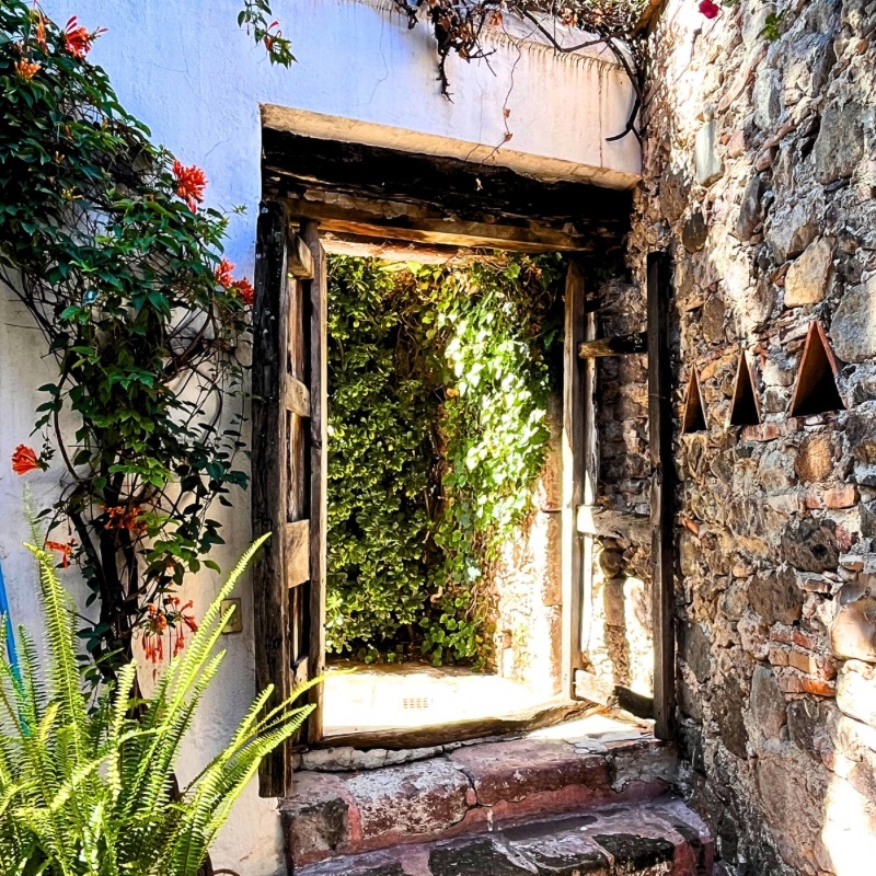 A weathered wooden door in San Miguel de Allende, leading to a hidden colonial patio filled with history.