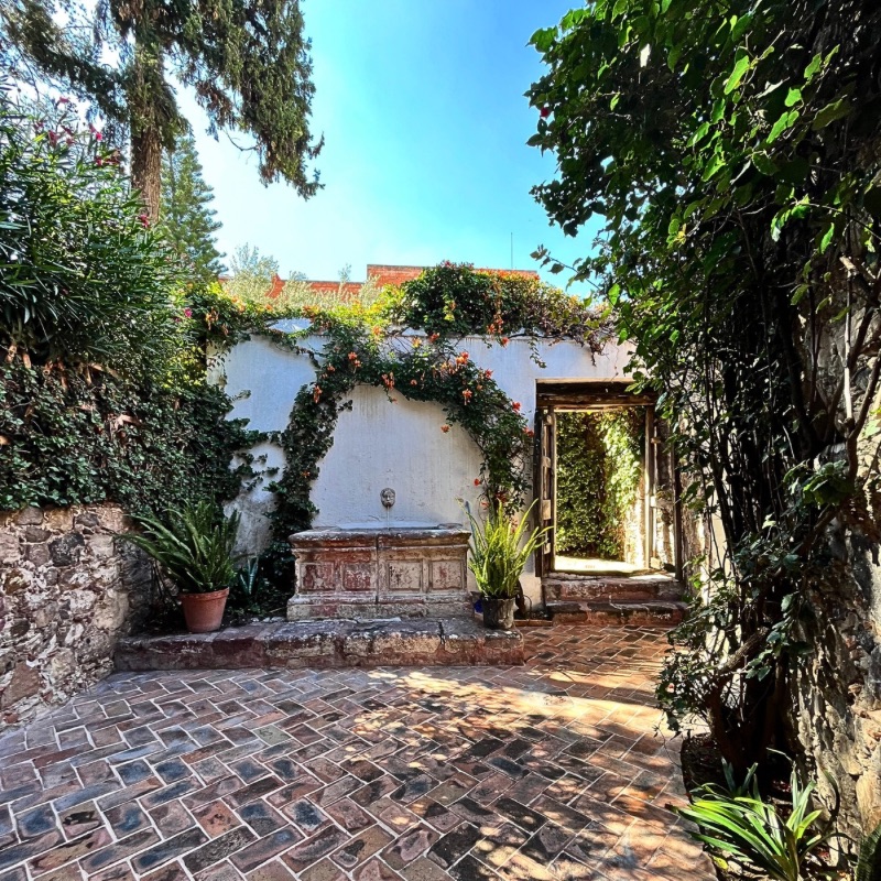 A colonial courtyard in San Miguel de Allende, framed by stone walls and climbing vines.