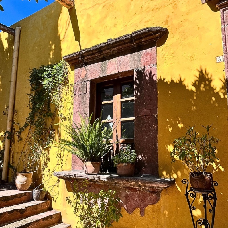 A colonial-style window with a stone frame, surrounded by hanging plants in a hidden patio of San Miguel de Allende.