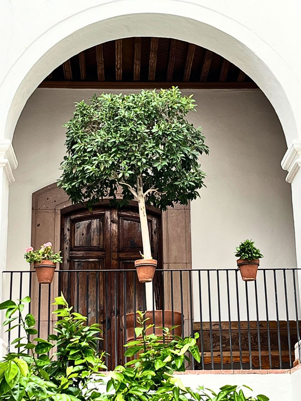 A white arched hallway in Casa de Mayorazgo de la Canal with potted plants and soft light.