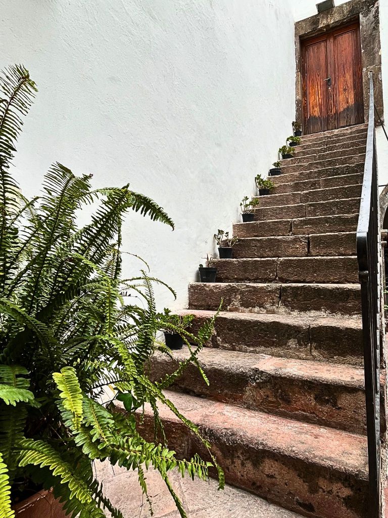 Low-angle view of cantera stone stairs rising gently toward a closed wooden door, bathed in soft natural light. The worn steps and play of shadows evoke a quiet sense of mystery and the passage of time.