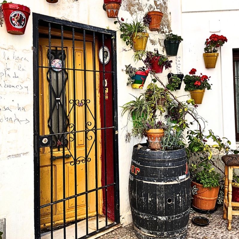 A vibrant wall in Nerja, Spain, covered in cascading plants spilling from colorful pots against a whitewashed background.
