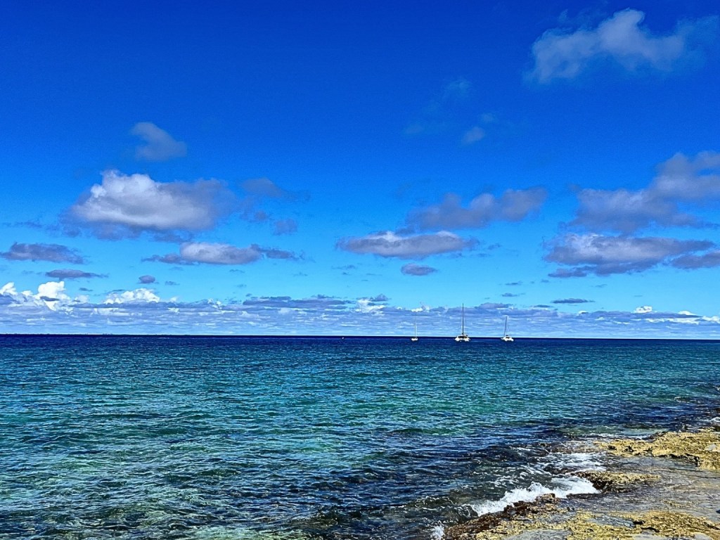 Panoramic view of Cozumel's shoreline, with the vibrant blue of the Caribbean Sea blending into the blue sky, and the city of Cozumel in the background.