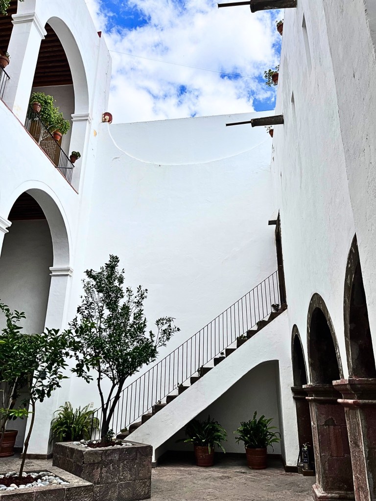 White walls with shadows of leaves dancing across it.