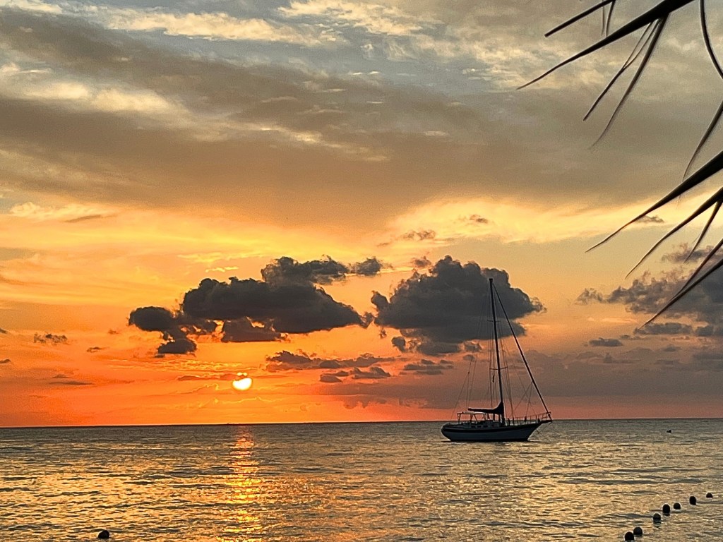 Sunset over the ocean with a sailboat floating near the horizon, framed by dark clouds and palm leaves