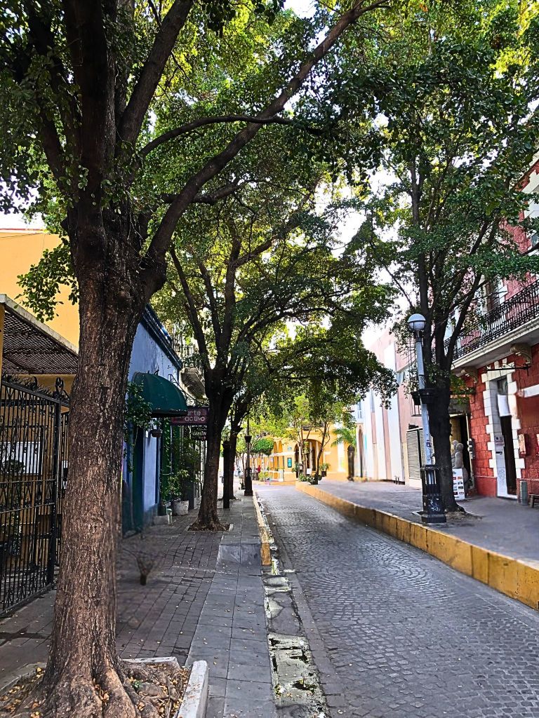 A quiet street in Mazatlán’s historic center, lined with colorful colonial buildings and shaded by leafy trees.