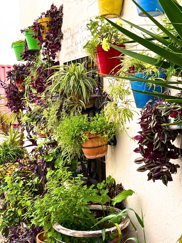 Lush greenery and purple leaves spill from a tapestry of plant pots on a sunlit wall in Nerja.