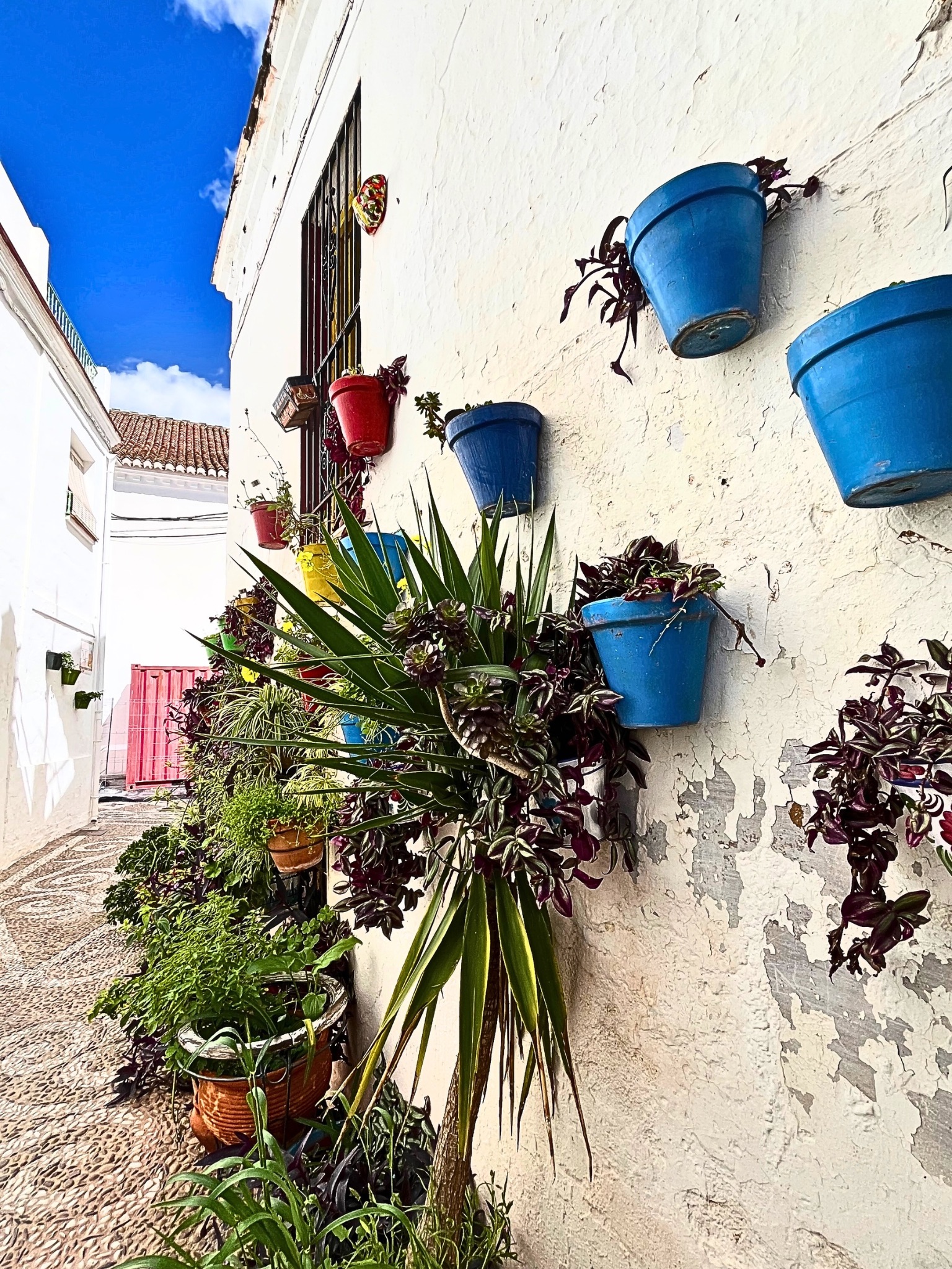 A whitewashed wall adorned with colorful pots overflowing with green vines and vibrant flowers, set against a deep cobalt blue sky in Nerja, Spain.