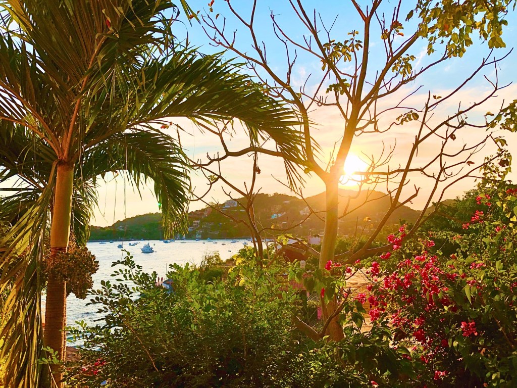 Sunlight filtering through a jungle-like foreground, illuminating palm fronds, a bare tree, and bright bougainvillea, overlooking a peaceful bay.  
