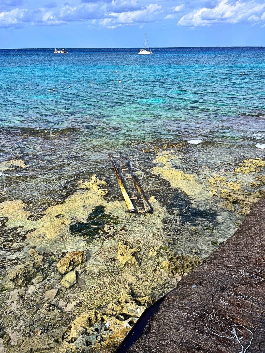 Sunlit limestone shore at the bottom of the photo, with clear Caribbean waters over it; a weathered wooden ladder stands half-submerged in the center, surrounded by water that shifts from transparent to jade and turquoise toward the top of the image.