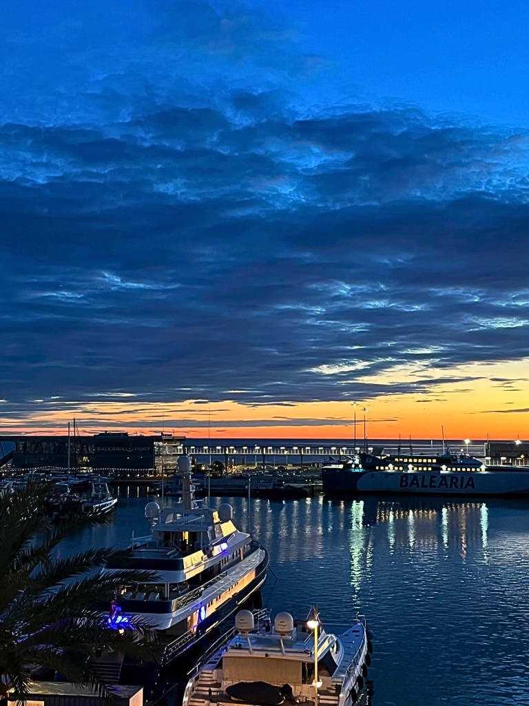 Row of sailboats in Dénia marina at sunrise, with boat lights reflecting on calm water, amber and blue sky, low clouds, and palm fronds in the foreground.