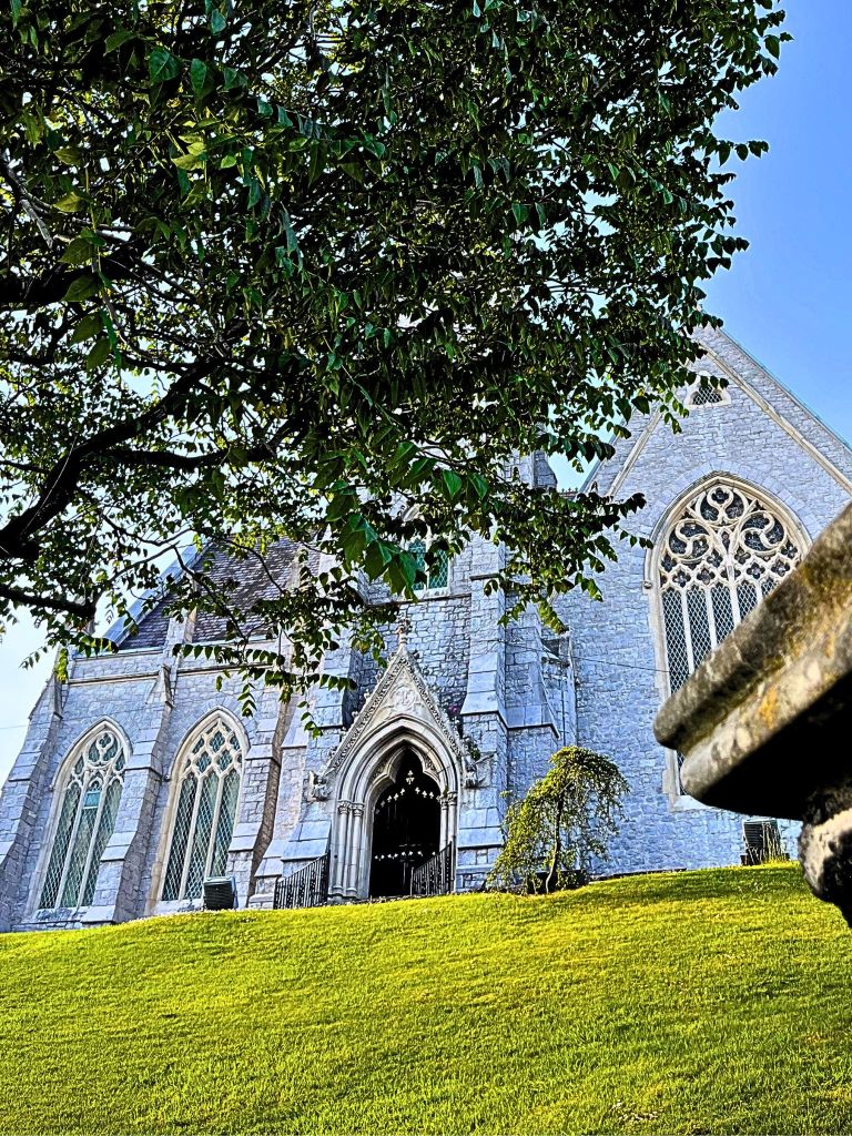 Vertical view of Trinity Presbyterian Church in Cork, Ireland, showing its limestone spire reaching toward the sky, partially framed in the upper right corner by lush green branches. At the bottom, bright grass adds a vivid contrast to the stone façade.