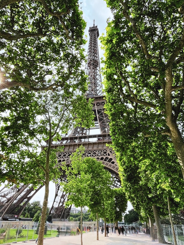 Eiffel Tower viewed through trees, blending iron architecture with nature.
