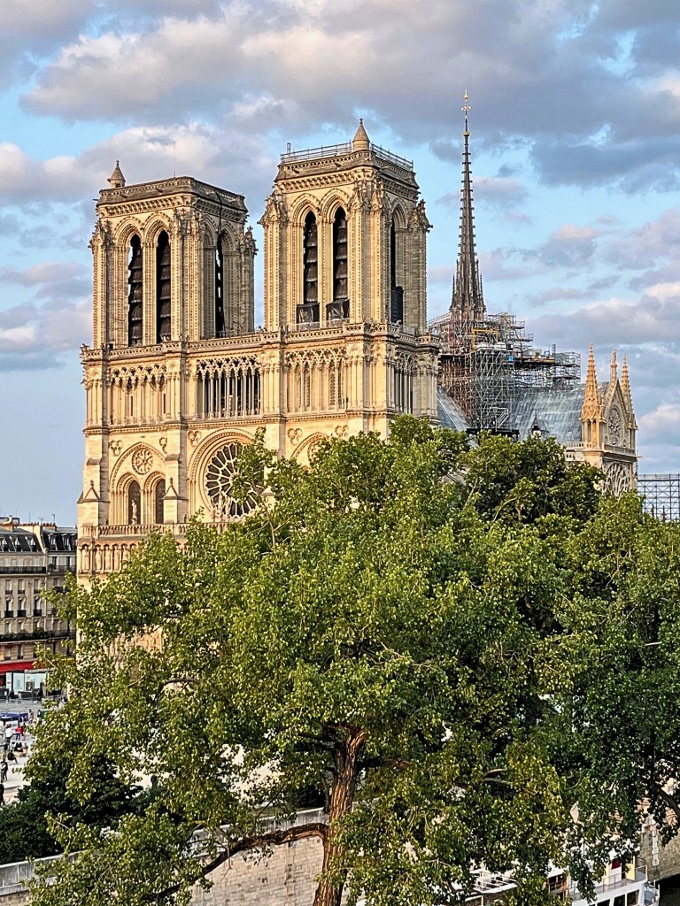 View of Notre-Dame Cathedral from a Juliet balcony, framed by a sunlit tree in the foreground. The cathedral’s western façade glows in the golden hour, with its iconic towers, rose window, and spire visible above the Seine.